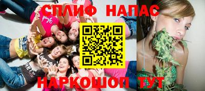 ECSTASY Гай