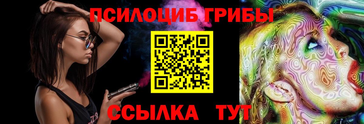 Псилоцибиновые грибы Cubensis Искитим
