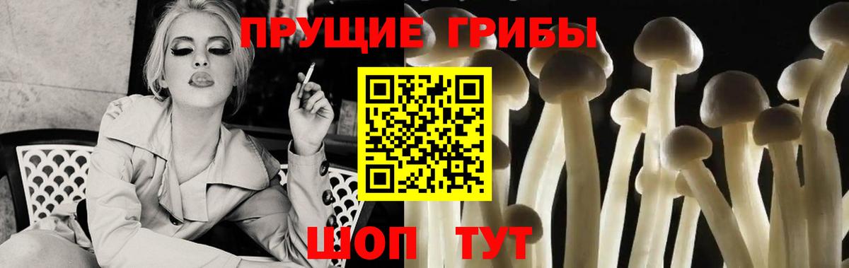 Псилоцибиновые грибы мицелий  Вход с VPN  Искитим 